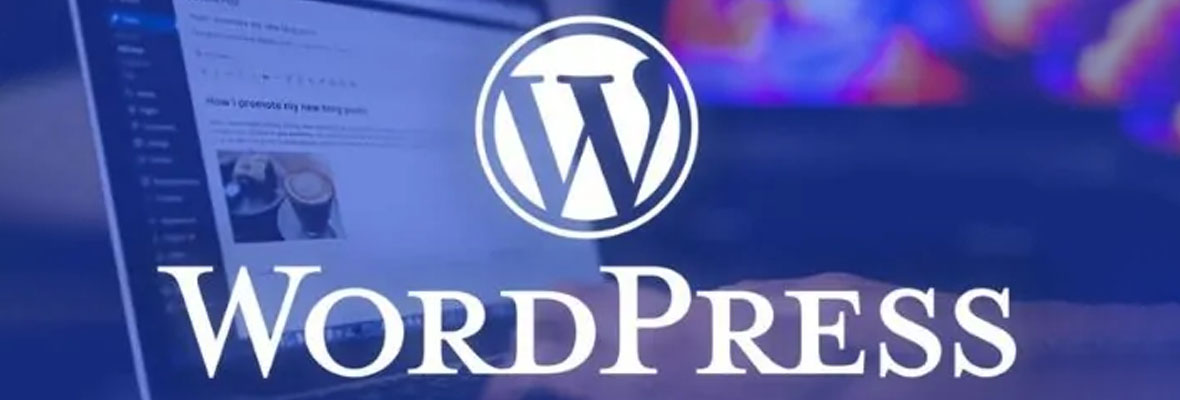 真相：WordPress才是外贸建站的首选！